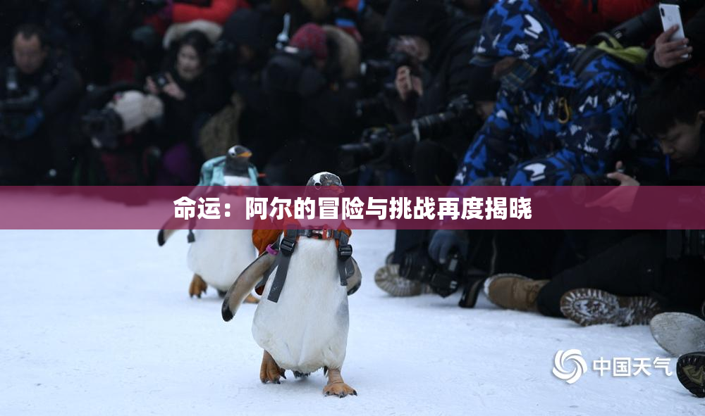 命运：阿尔的冒险与挑战再度揭晓