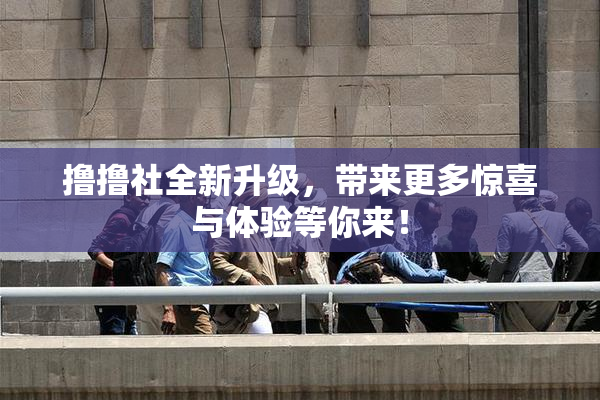 撸撸社全新升级，带来更多惊喜与体验等你来！