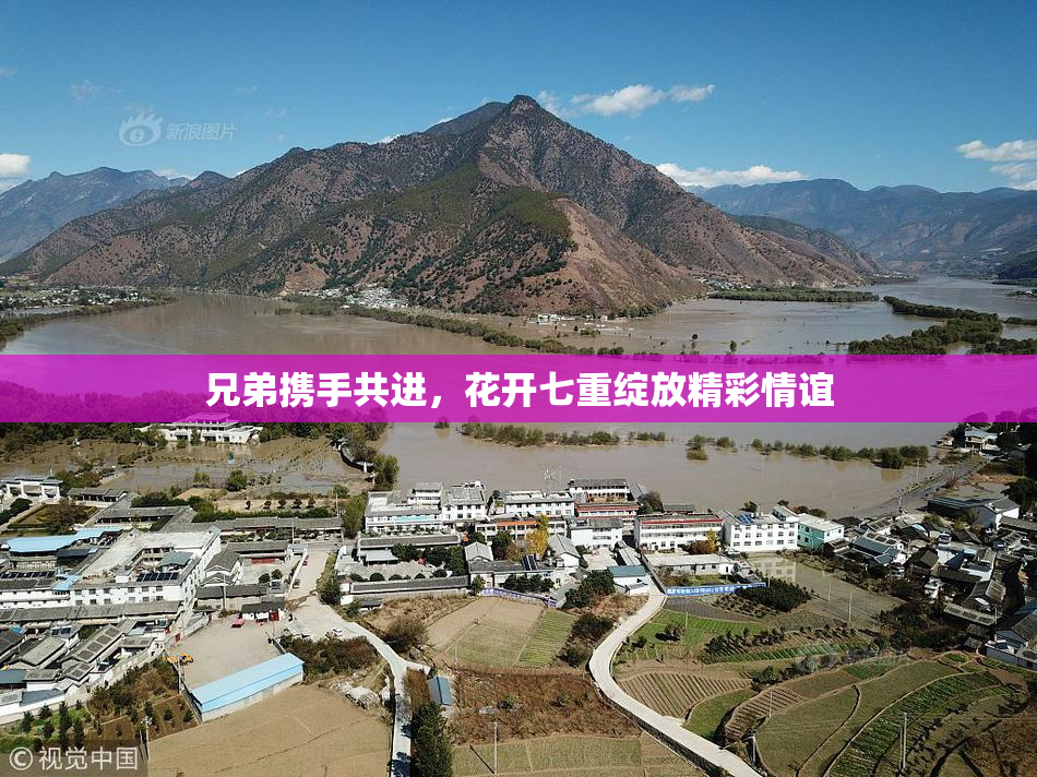 兄弟携手共进，花开七重绽放精彩情谊
