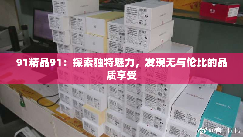 91精品91：探索独特魅力，发现无与伦比的品质享受