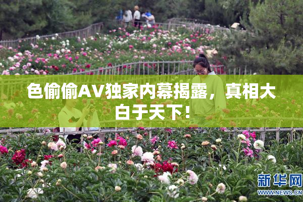色偷偷AV独家内幕揭露，真相大白于天下！