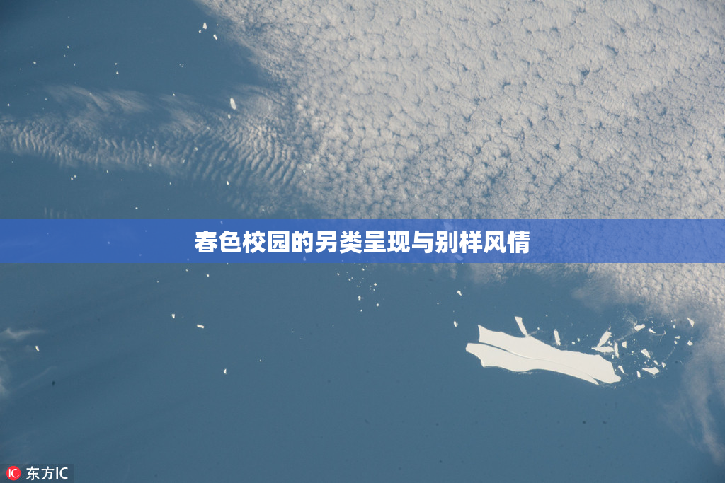 春色校园的另类呈现与别样风情