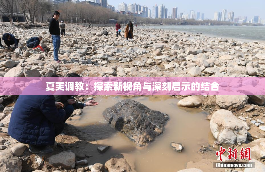 夏芙调教：探索新视角与深刻启示的结合