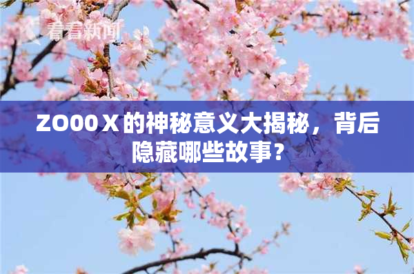 ZO00Ⅹ的神秘意义大揭秘，背后隐藏哪些故事？
