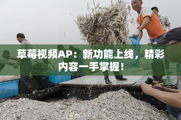草莓视频AP：新功能上线，精彩内容一手掌握！