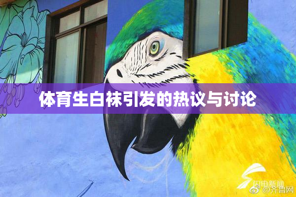 体育生白袜引发的热议与讨论