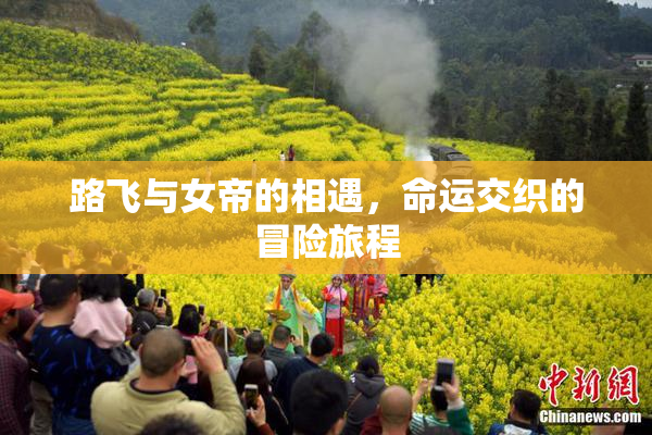 路飞与女帝的相遇，命运交织的冒险旅程