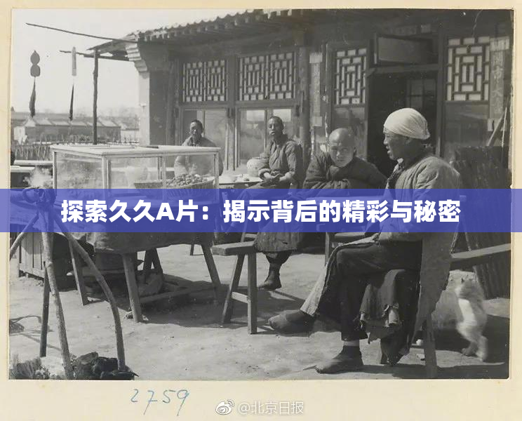 探索久久A片：揭示背后的精彩与秘密