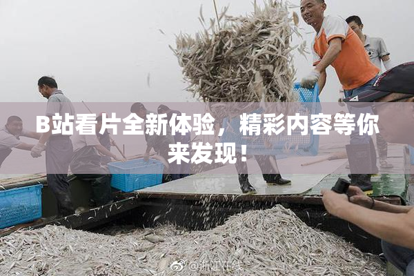 B站看片全新体验，精彩内容等你来发现！