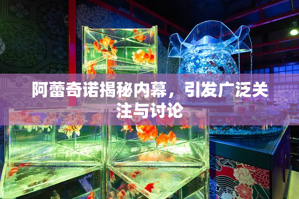 阿蕾奇诺揭秘内幕，引发广泛关注与讨论
