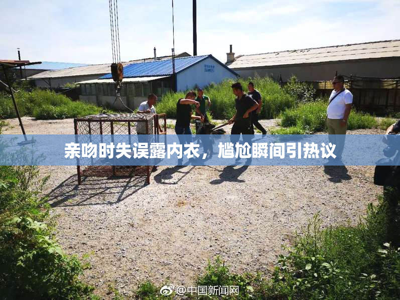 亲吻时失误露内衣，尴尬瞬间引热议