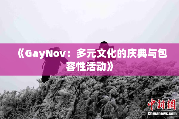 《GayNov：多元文化的庆典与包容性活动》