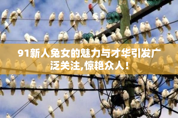 91新人兔女的魅力与才华引发广泛关注,惊艳众人！