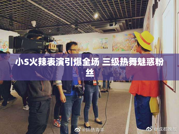 小S火辣表演引爆全场 三级热舞魅惑粉丝