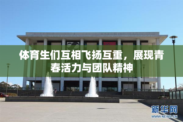 体育生们互相飞扬互重，展现青春活力与团队精神