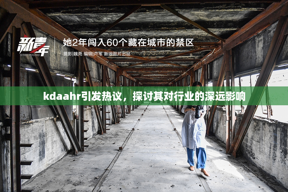 kdaahr引发热议，探讨其对行业的深远影响