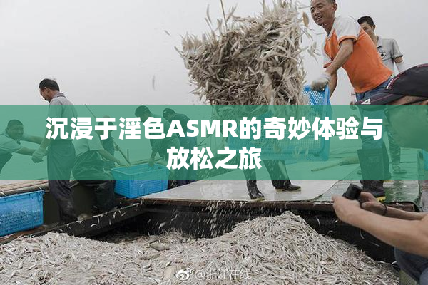 沉浸于淫色ASMR的奇妙体验与放松之旅