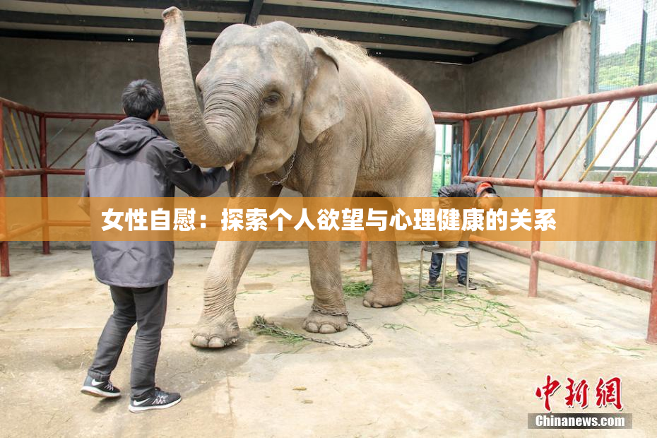 女性自慰：探索个人欲望与心理健康的关系