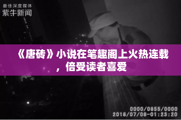 《唐砖》小说在笔趣阁上火热连载，倍受读者喜爱