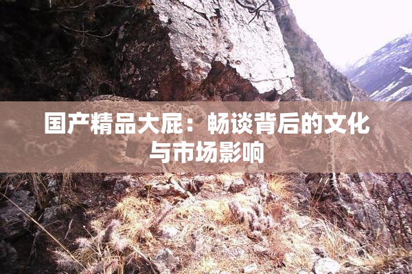 国产精品大屁：畅谈背后的文化与市场影响