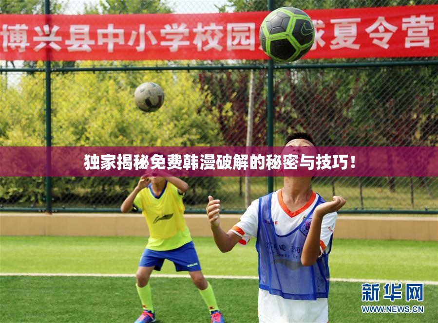 独家揭秘免费韩漫破解的秘密与技巧！