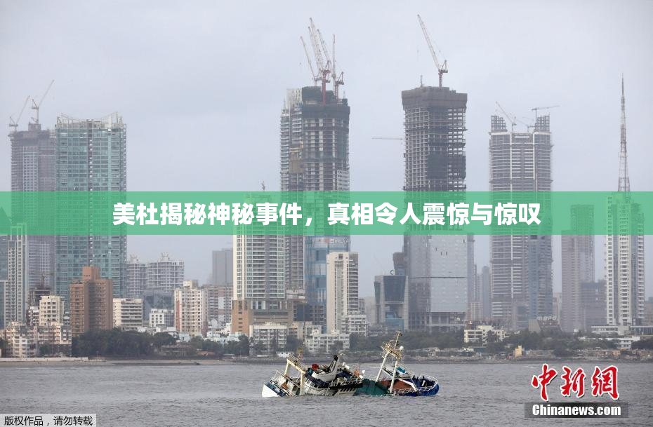 美杜揭秘神秘事件，真相令人震惊与惊叹