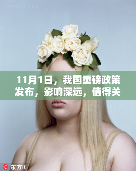 11月1日，我国重磅政策发布，影响深远，值得关注！