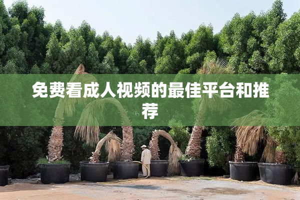 免费看成人视频的最佳平台和推荐