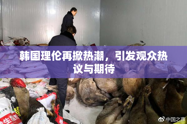 韩国理伦再掀热潮，引发观众热议与期待