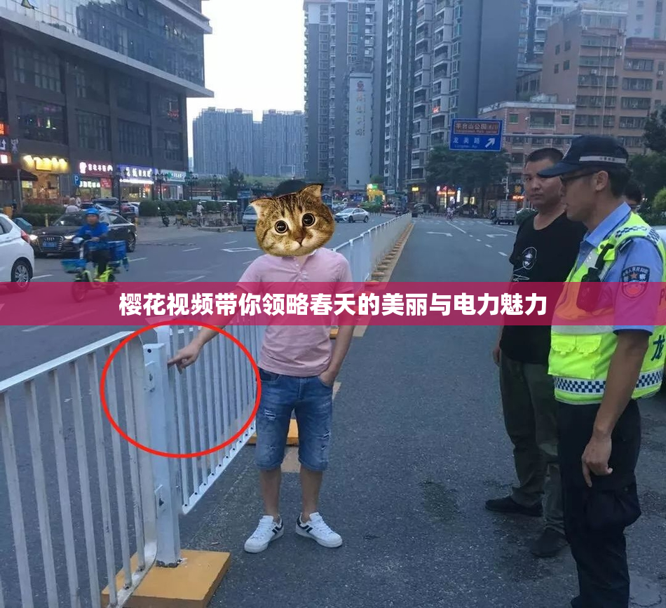 樱花视频带你领略春天的美丽与电力魅力