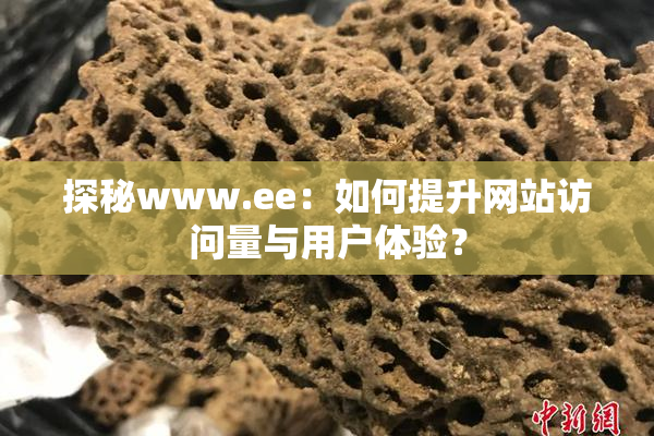 探秘www.ee：如何提升网站访问量与用户体验？