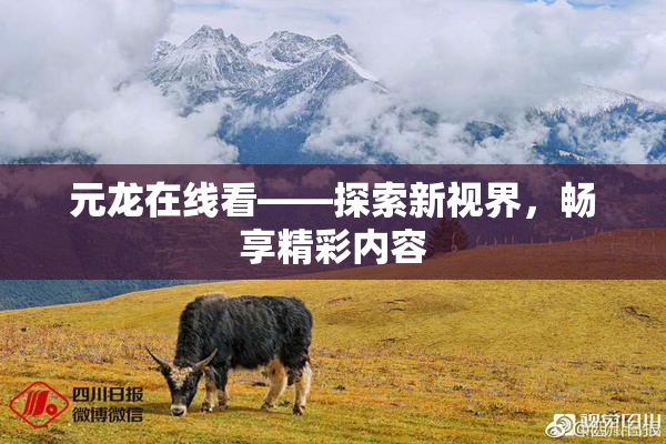 元龙在线看——探索新视界，畅享精彩内容
