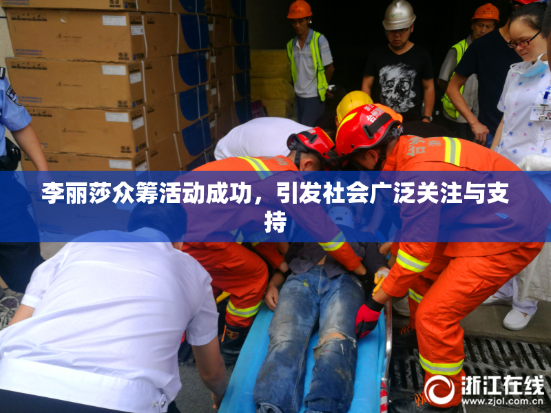 李丽莎众筹活动成功，引发社会广泛关注与支持