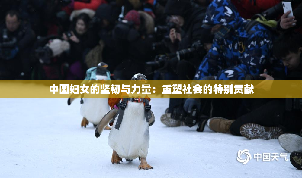 中国妇女的坚韧与力量：重塑社会的特别贡献