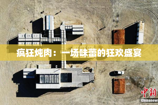 疯狂炖肉：一场味蕾的狂欢盛宴