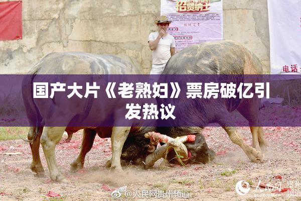 国产大片《老熟妇》票房破亿引发热议