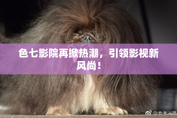 色七影院再掀热潮，引领影视新风尚！