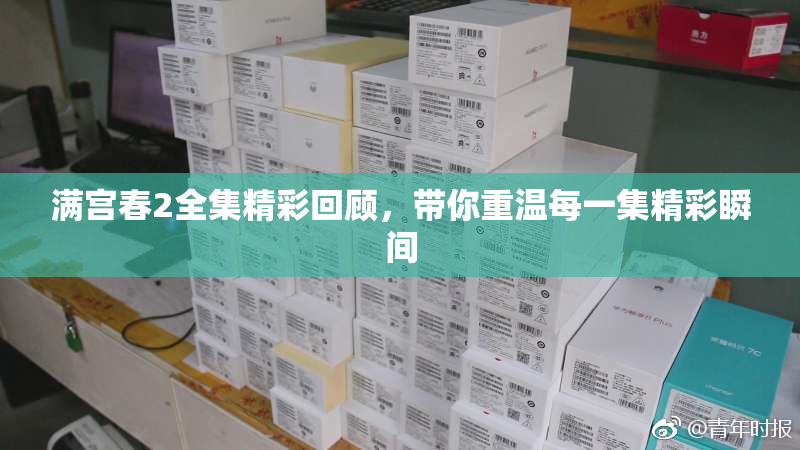 满宫春2全集精彩回顾，带你重温每一集精彩瞬间