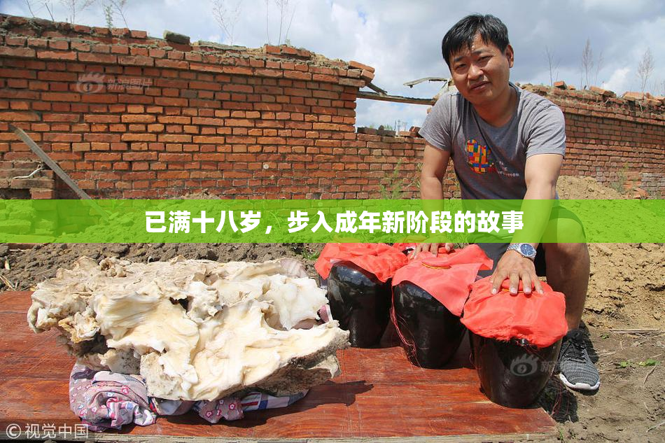 已满十八岁，步入成年新阶段的故事