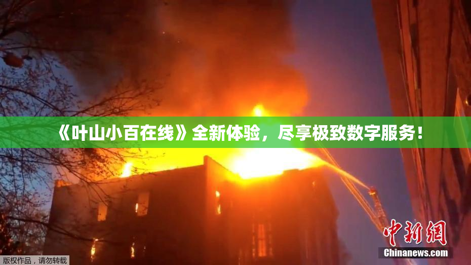 《叶山小百在线》全新体验，尽享极致数字服务！