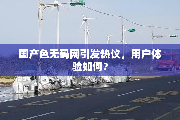 国产色无码网引发热议，用户体验如何？