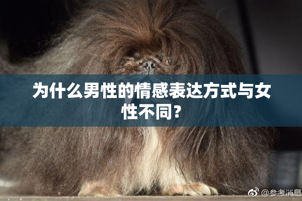 为什么男性的情感表达方式与女性不同？