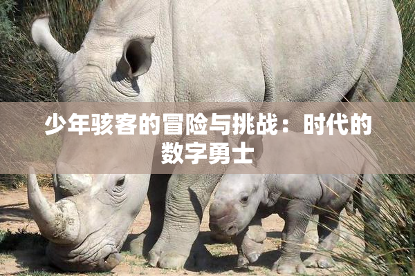 少年骇客的冒险与挑战：时代的数字勇士