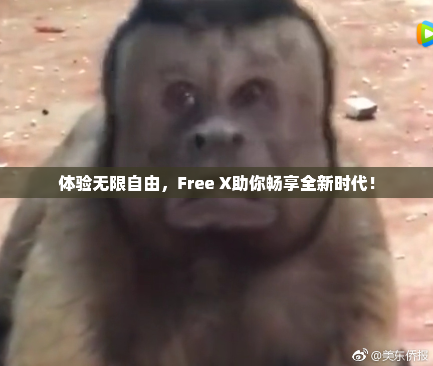 体验无限自由，Free X助你畅享全新时代！