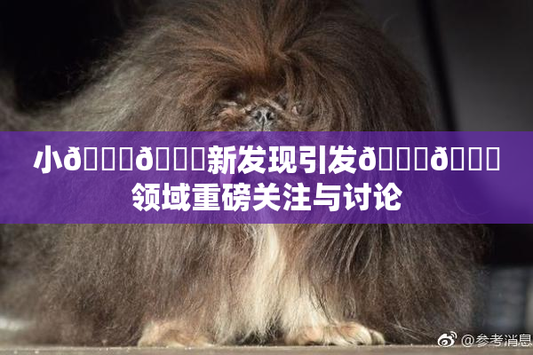 小🐔🐔新发现引发🍑🔞领域重磅关注与讨论
