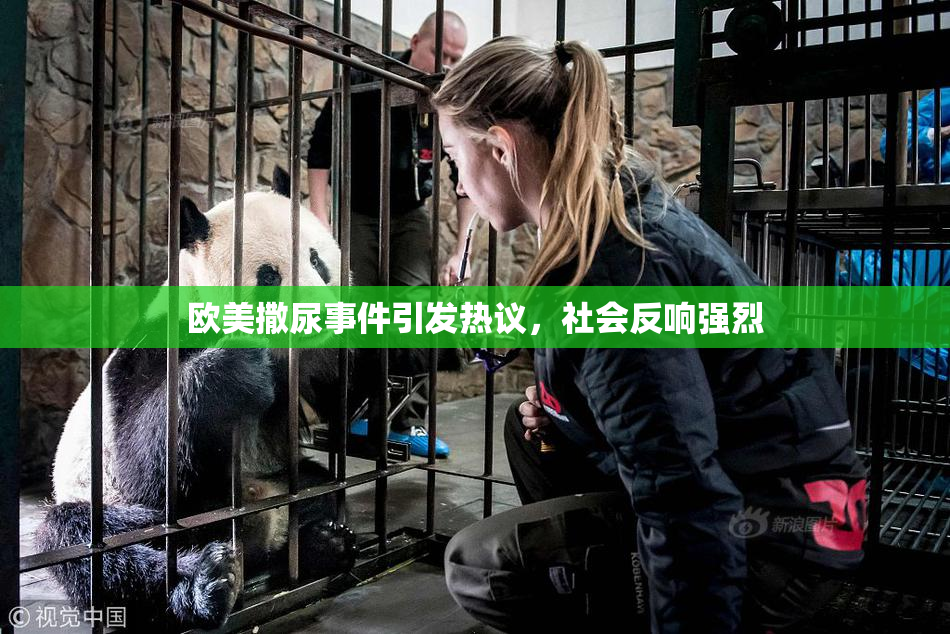 欧美撒尿事件引发热议，社会反响强烈