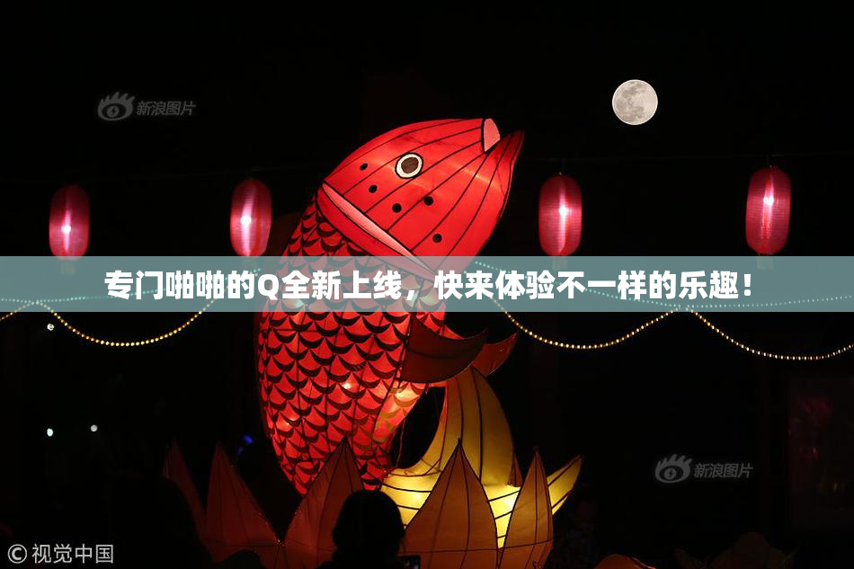 专门啪啪的Q全新上线，快来体验不一样的乐趣！