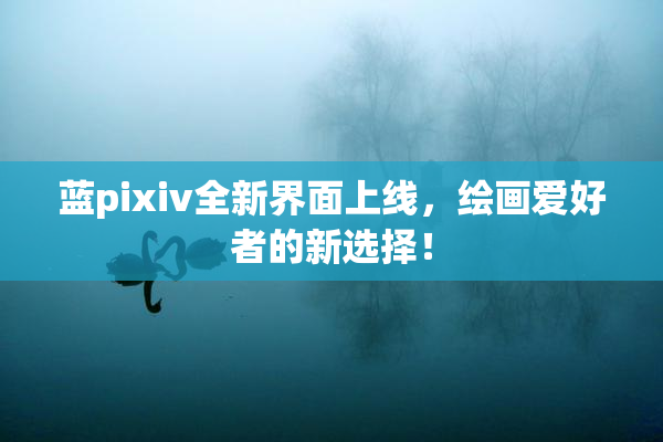 蓝pixiv全新界面上线，绘画爱好者的新选择！