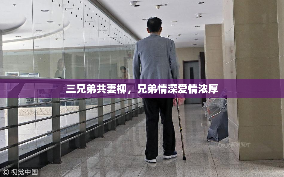三兄弟共妻柳，兄弟情深爱情浓厚