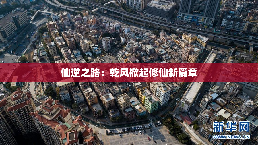 仙逆之路：乾风掀起修仙新篇章